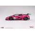 TS0532 - 1/18 LAMBORGHINI HURACAN GT3 EVO2 NO.83 IRON DAMES 2023 IMSA DAYTONA 24 HRS