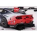 TS0585 - 1/18 FORD MUSTANG GT3 NO.64 FORD MULTIMATIC MOTORSPORTS 2024 IMSA DAYTONA 24 HRS