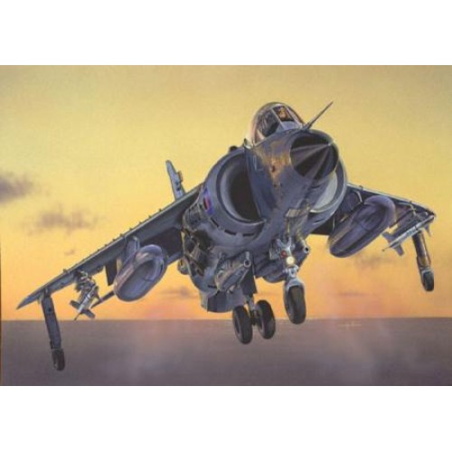 IT1236 - 1/72 SEA HARRIER FRS.1 FALKLANDS (PLASTIC KIT)