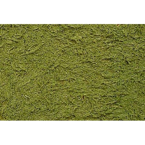 TAM87111 - TEXTURE PAINT - GRASS GREEN PACK OF 3