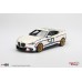 TS0495 - 1/18 BMW M4 3.0 CSL