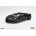 TS0597 - 1/18 BUGATTI W16 MISTRAL BLACK